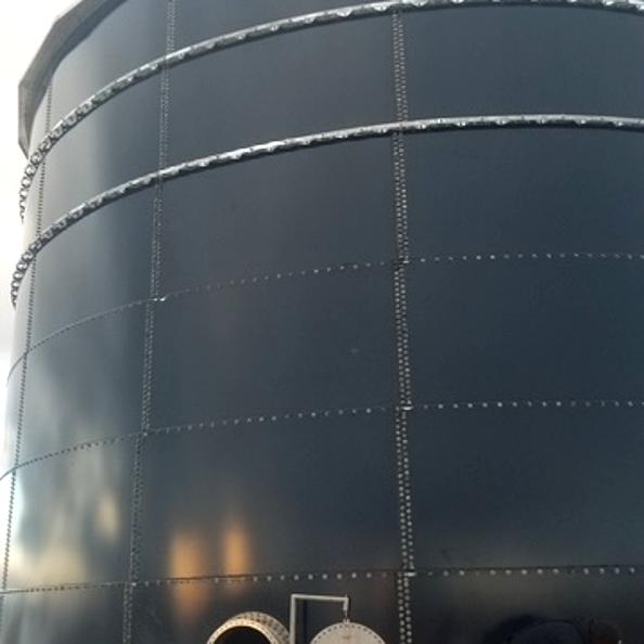 Glass-fused-to-steel tank used for industrial process storage with access manway