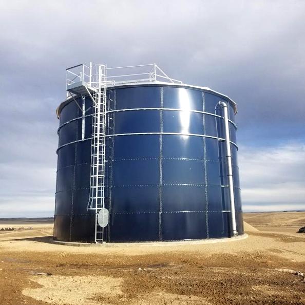 Glass-fused-to-steel municipal water storage tank with exterior ladder system